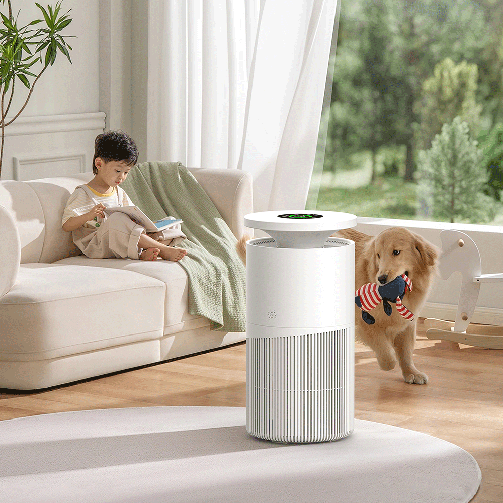 Air Purifier - CADR 350m³/h, DC 24V/2A, Covers 25-42 sq.m - Image 3